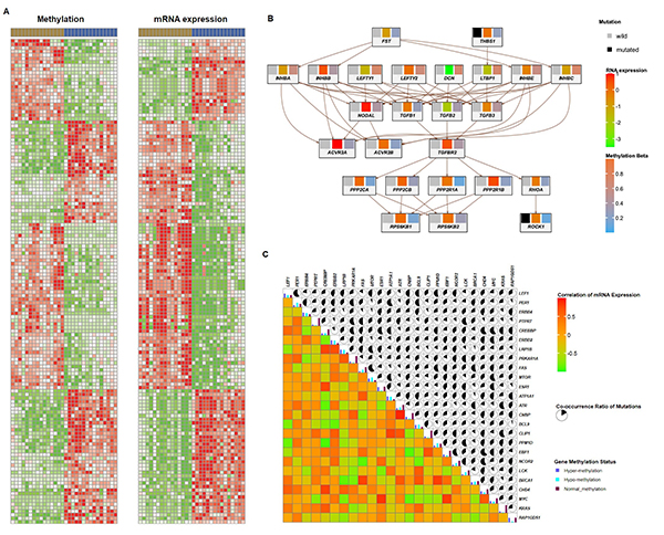 15180610014954.jpg 10.jpg