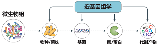 15180706271612.png image.png