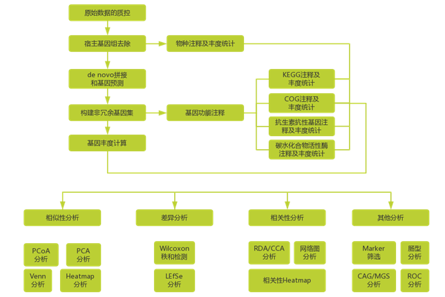 15180706651333.png image.png