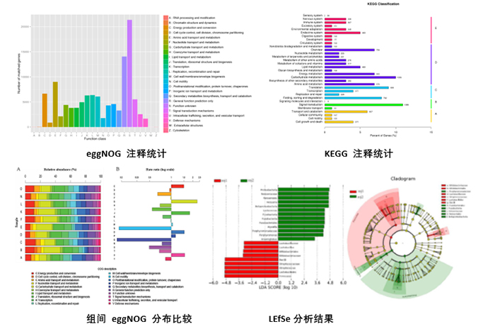 15180739266612.jpg 未标题-3.jpg