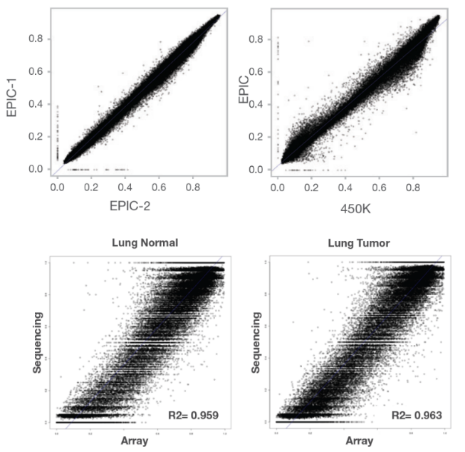 15289667322470.png 2.png