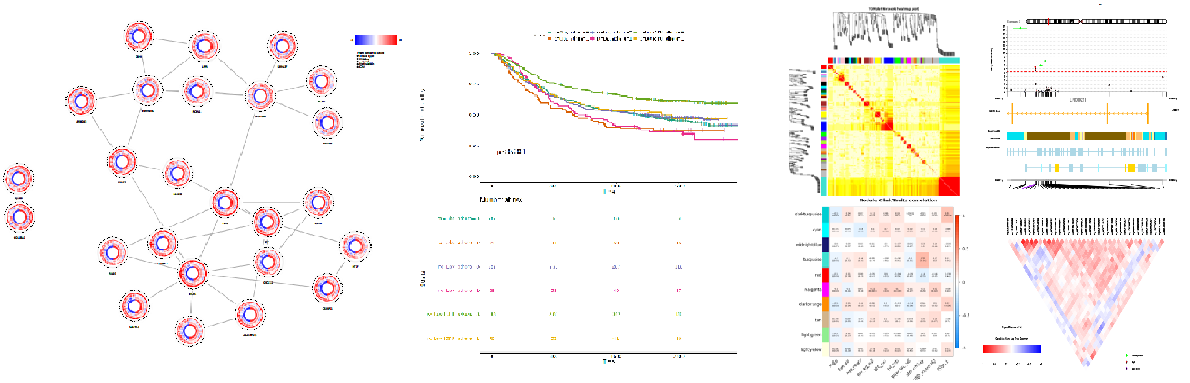 15290483499704.png 1.png