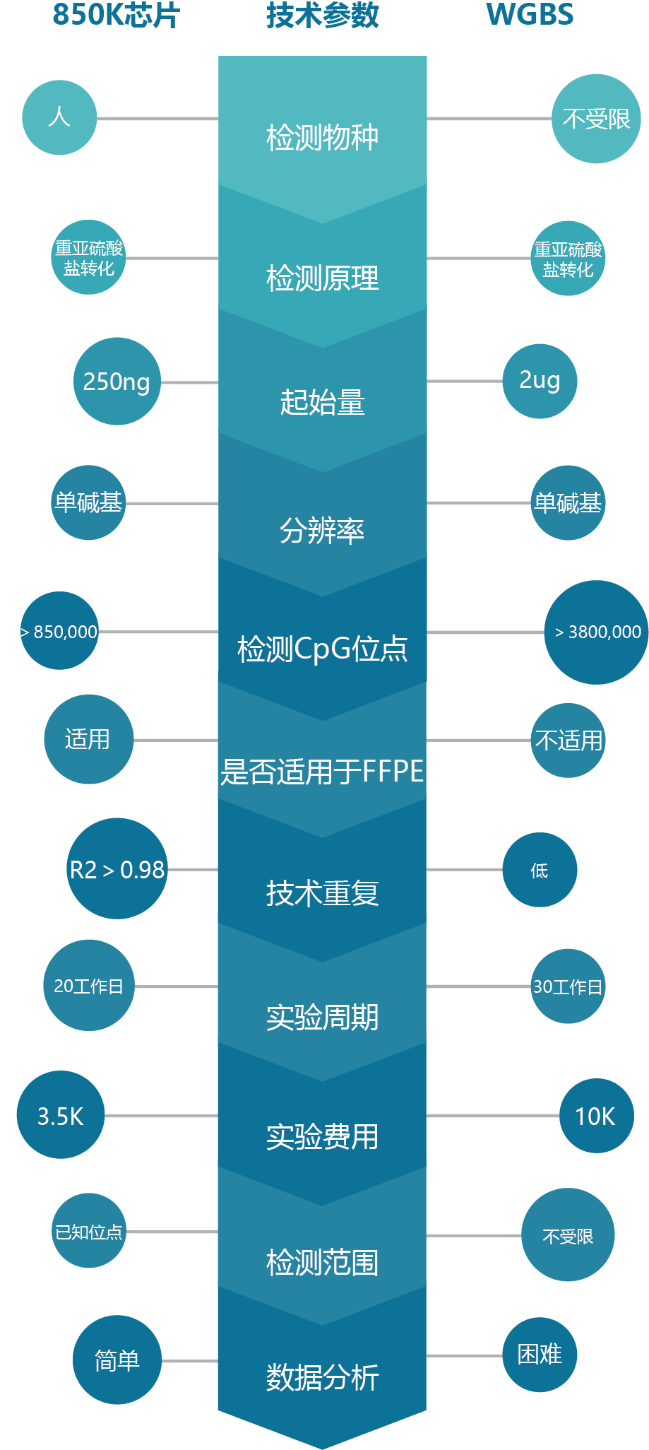 15293859084315.png 15293859084315.png