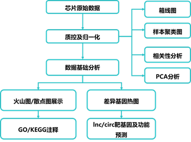 15300766423668.png image.png