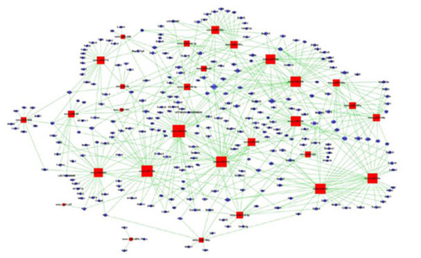 15318808588806.png blob.png