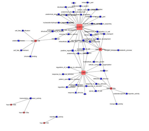 15318819638476.png blob.png