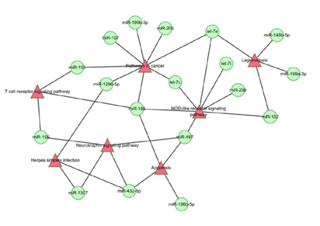 15318824837258.png blob.png