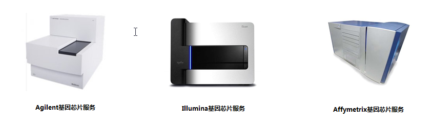 15318962257402.png blob.png