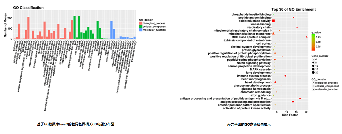 15318962332885.png blob.png