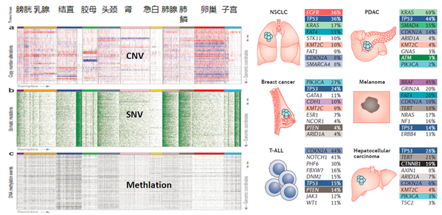 15318983164720.png blob.png