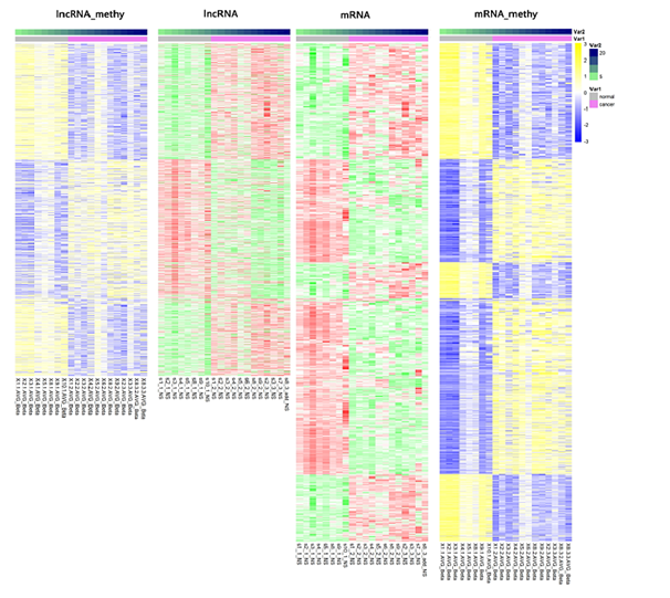 15318989077642.png blob.png