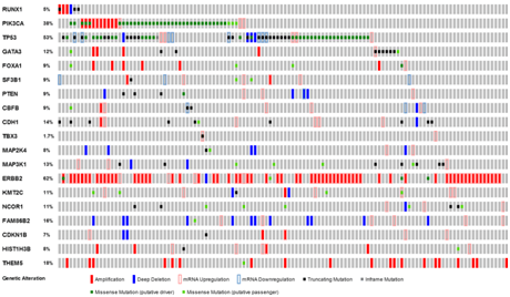 15319004991419.png blob.png