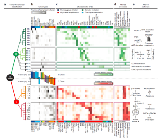 15319005939596.png blob.png