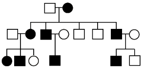 15319006006052.png blob.png