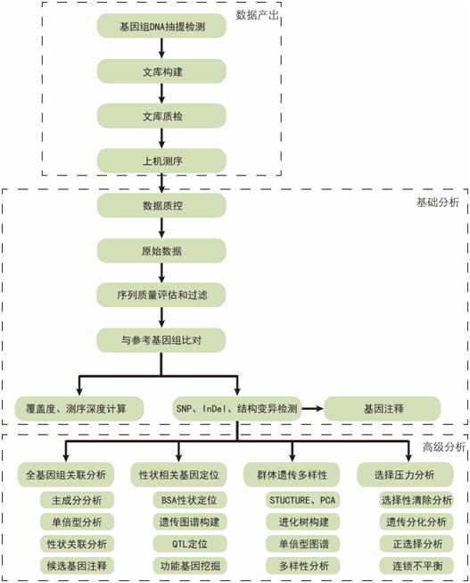 15319028094711.png blob.png