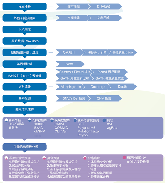 15319045976260.png blob.png