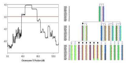 15319050931678.png blob.png