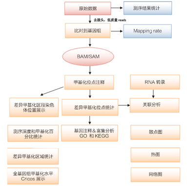 15319636906832.png blob.png