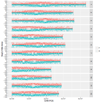 15319640471960.png blob.png