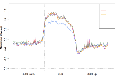 15319640876731.png blob.png