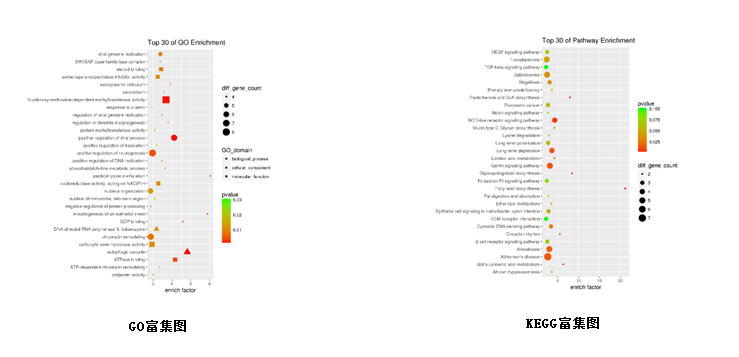 15319652589508.png blob.png