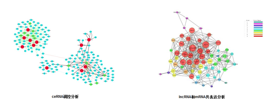 15319671153574.png blob.png