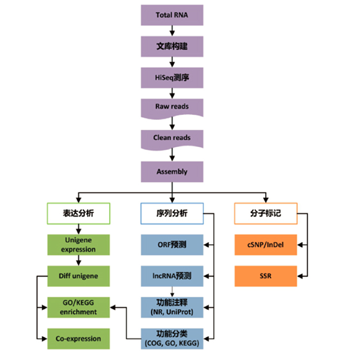 15324104027352.png blob.png