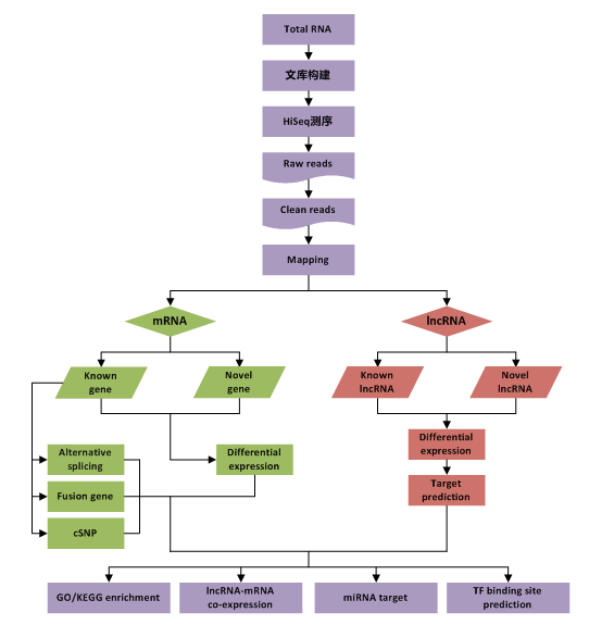 15324135531825.png blob.png