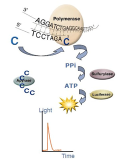 15324144572052.png blob.png