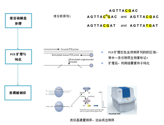 15324148027812.png blob.png