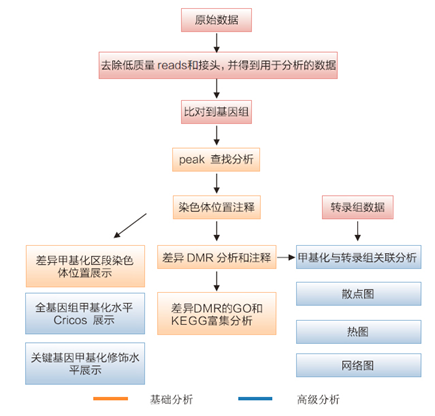 15324151673779.png blob.png