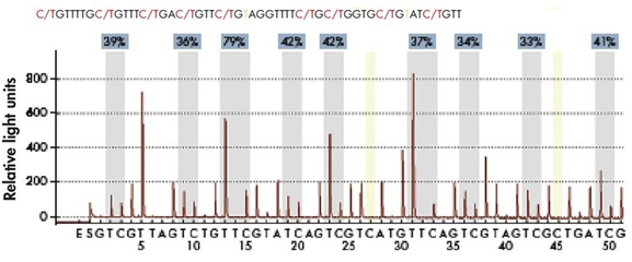 15324151945945.png blob.png