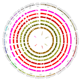 15324159005977.png blob.png