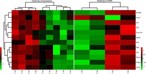 15324160228622.png blob.png