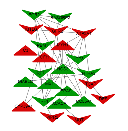 15324160831241.png blob.png