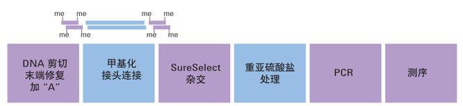 15343111221745.png image.png