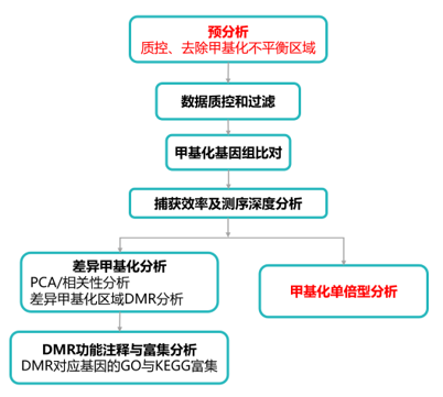 15343125492327.png image.png