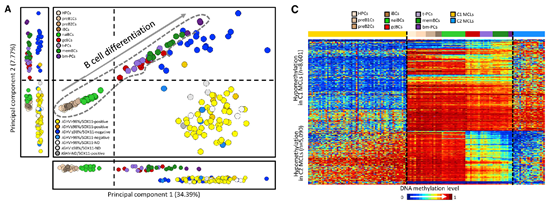 15422482523936.png image.png