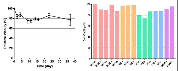 15542529164240.jpg 5.jpg