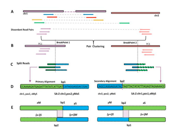 15758619826362.png image.png