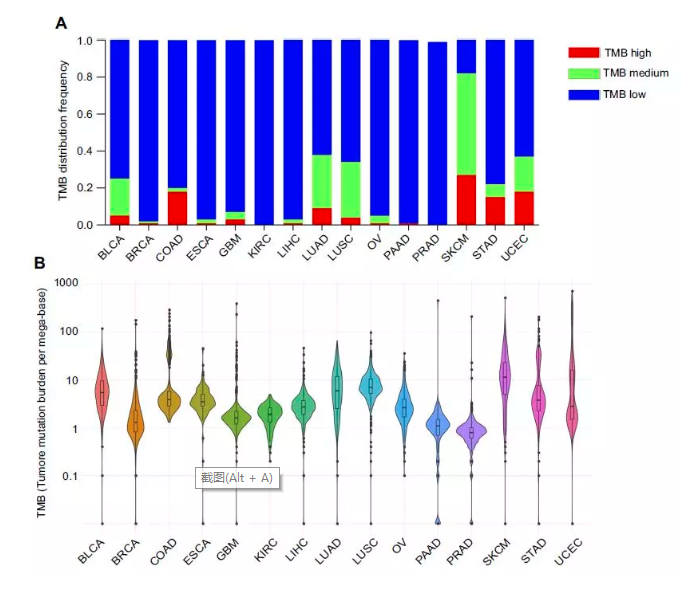 15758758726698.png image.png