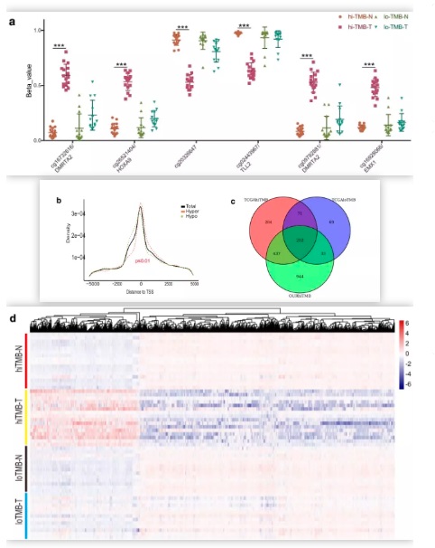 15758768467142.jpg 15758768467142.jpg