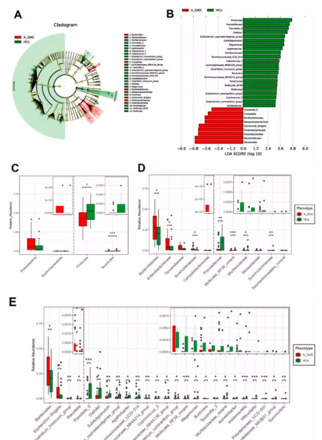 15758794932246.png image.png