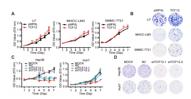 15758799264072.png image.png