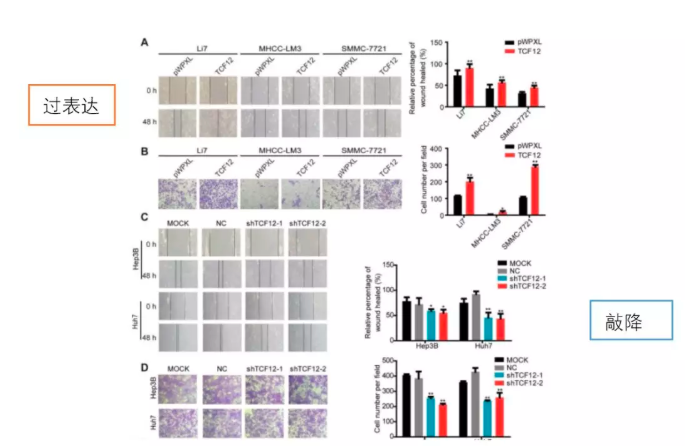 15758799509307.png image.png