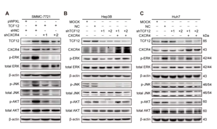 15758799879079.png image.png