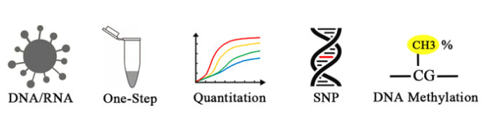 15758803943388.png image.png