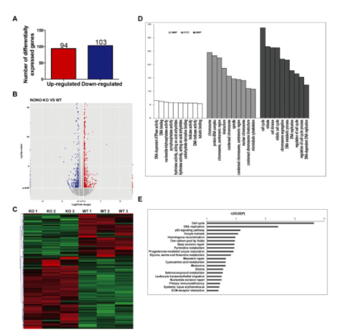 15758807457308.png image.png