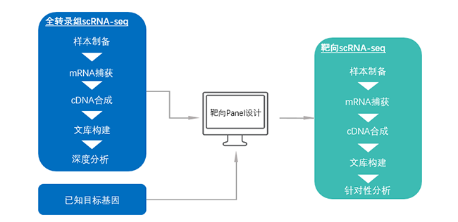 15456407806067.png 2.png