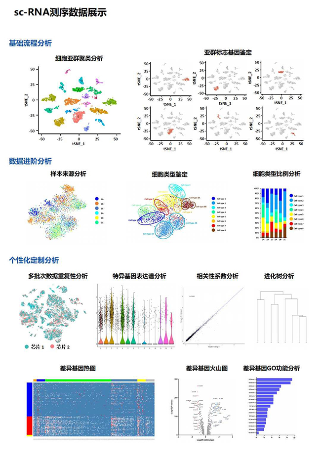 15456409179145.jpg 3.jpg